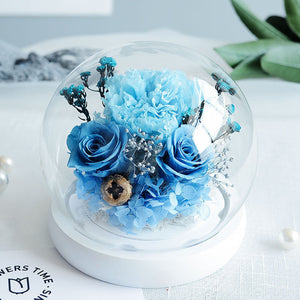 Gift For Mum Preserved Flower Glass Cover Carnation Real Flower Gift Home Decor - Blue